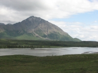 Along the Denali Highway